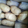 Nouvelle culture de pommes de terre chinoises de bonne qualité